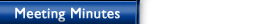 Meeting Minutes